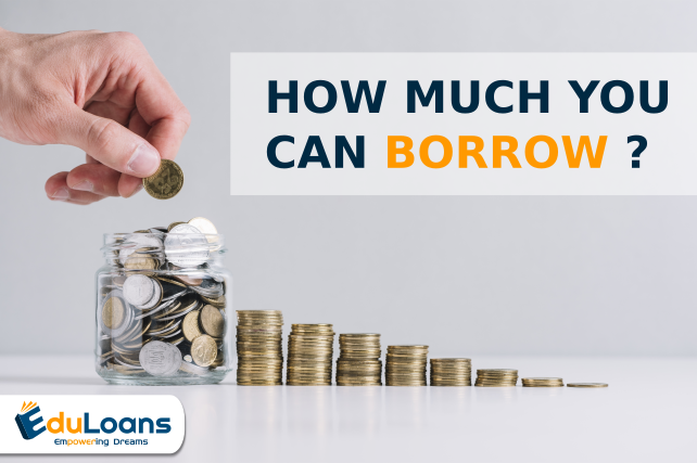 What is the maximum loan provided by the financial institutions?